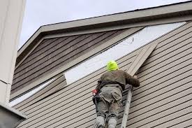 Best Historical Building Siding Restoration  in Duncansville, PA